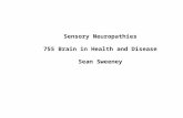 Sensory Neuropathies 755 Brain in Health and Disease Sean Sweeney