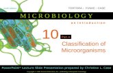 Classification of Microorganisms