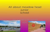 All about meadow head junior  school