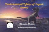 Environmental Effects of Impact Events