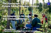 The Kamloops  Future Forest Strategy Project