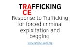 Response to Trafficking for forced criminal exploitation and begging