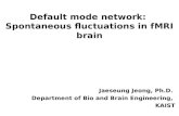 Default mode network:  Spontaneous fluctuations in fMRI brain