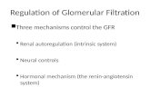 Regulation of Glomerular Filtration