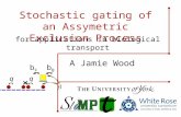 Stochastic gating of an Assymetric Exclusion Process