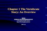 Chapter 1 The Vertebrate Story: An Overview