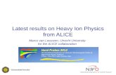 Latest results on Heavy Ion Physics from ALICE