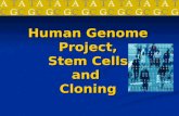 Human Genome Project,  Stem Cells  and  Cloning