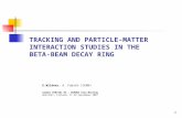 Tracking and particle-matter interaction studies in the beta-beam decay ring