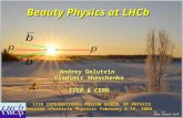 Beauty Physics at  LHCb
