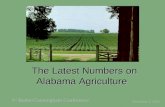 The Latest Numbers on Alabama Agriculture