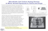 Microfluidic Cell Culture Analog Devices to Mimic Animal Exposures to Toxins and Drugs