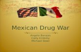 Mexican Drug War