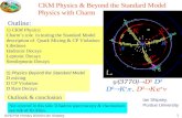 CKM Physics & Beyond the Standard Model Physics with Charm