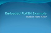 Embeded  FLASH Example
