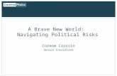 A Brave New World:  Navigating Political Risks
