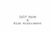 Self Harm & Risk Assessment