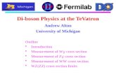 Di-boson Physics at the TeVatron