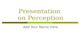 Presentation  on Perception