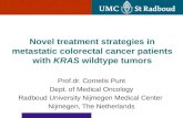 Novel treatment strategies in metastatic colorectal cancer patients with  KRAS  wildtype tumors