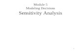 Module 5 Modeling Decisions Sensitivity Analysis
