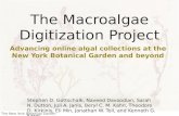 The  Macroalgae  Digitization Project
