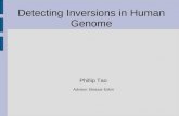 Detecting Inversions in Human Genome