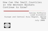 How Can the Small Countries in the Western Balkans Continue to Grow?