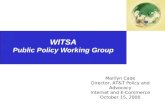 WITSA Public Policy Working Group