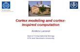 Cortex modeling and cortex-inspired computation