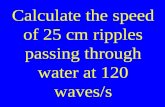 Calculate the speed of 25 cm ripples passing through water at 120 waves/s