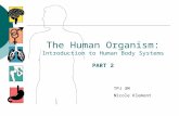 The Human Organism: Introduction to Human Body Systems PART 2