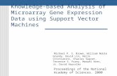 Knowledge-based Analysis of Microarray Gene Expression Data using Support Vector Machines