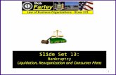 Slide Set 13 : Bankruptcy Liquidation, Reorganization and Consumer Plans