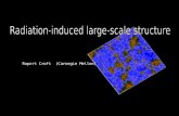 Radiation-induced large-scale structure