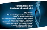 Human Heredity Sections 14-1 and 14-2