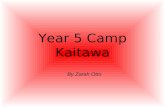 Year 5 Camp Kaitawa