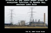 Effects of Bay Shore power plant on ecosystem function in Maumee Bay, western Lake Erie