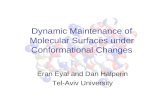 Dynamic Maintenance of Molecular Surfaces under Conformational Changes