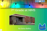 7 th  Grade at NMS