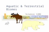 Aquatic & Terrestrial Biomes