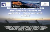 Gamma-ray emission from the Perseus cluster of galaxies   observed with MAGIC