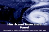 Hurricane Insurance Panel
