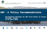 GEF -5 Policy Recommendations Sub-Regional Workshop for GEF Focal Points in Europe and the CIS