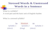 Stressed Words & Unstressed Words in a Sentence