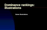 Dominance rankings: illustrations