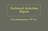 Technical Activities Report