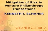 Mitigation of Risk in Venture Philanthropy Transactions