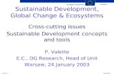 Sustainable Development, Global Change & Ecosystems Cross-cutting issues