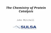 The Chemistry of Protein Catalysis